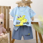 Boys Blue T-shirt Grey Pant Set
